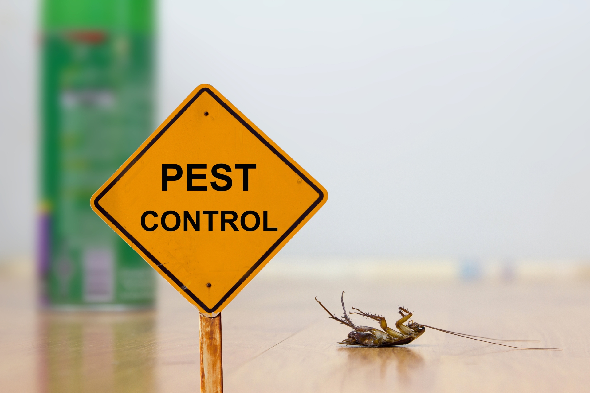 24 Hour Pest Control, Pest Control in West Watford, Holywell, WD18. Call Now 020 8166 9746