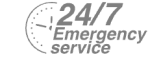 24/7 Emergency Service Pest Control in West Watford, Holywell, WD18. Call Now! 020 8166 9746